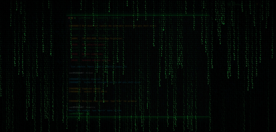 ShadowNet Terminal screenshot 4